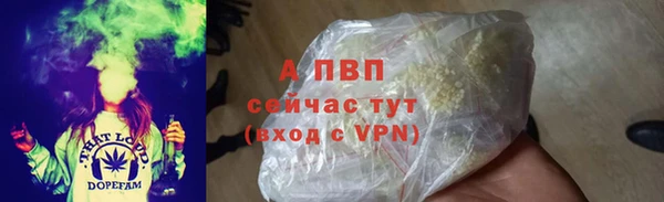 стаф Карпинск