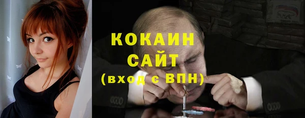 стаф Карпинск