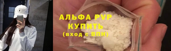 стаф Карпинск