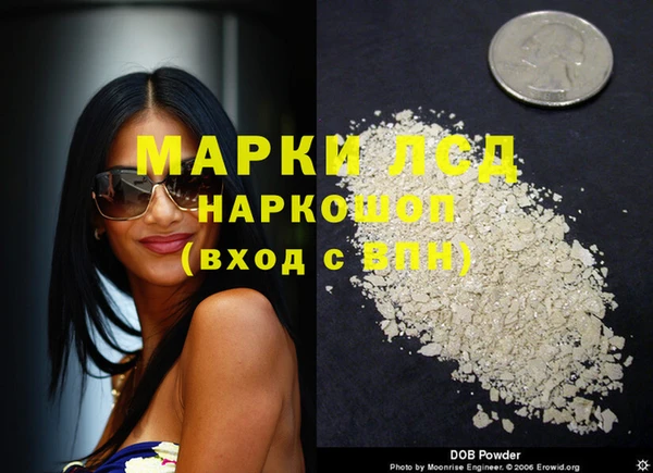 стаф Карпинск